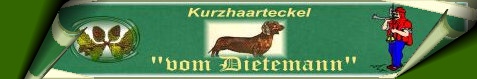 Zwinger "vom Dietemann" Kurzhaar-Standard